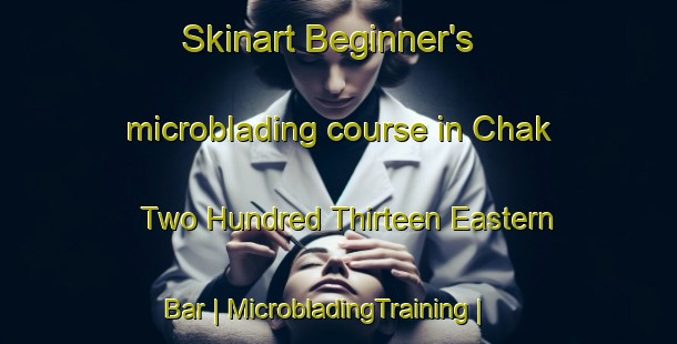 Skinart Beginner's microblading course in Chak Two Hundred Thirteen Eastern Bar | MicrobladingTraining | MicrobladingClasses | SkinartTraining-Pakistan